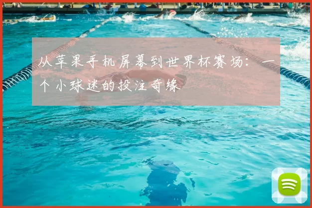 从苹果手机屏幕到世界杯赛场：一个小球迷的投注奇缘
