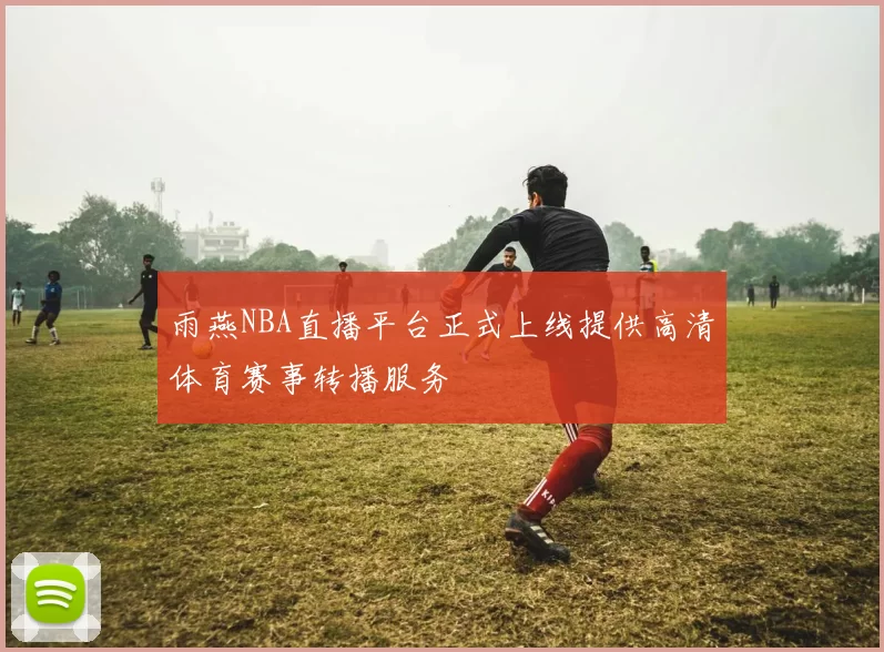 雨燕NBA直播平台正式上线提供高清体育赛事转播服务