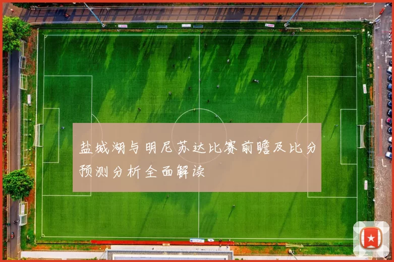盐城湖与明尼苏达比赛前瞻及比分预测分析全面解读