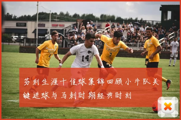 芬利生涯十佳球集锦回顾小牛队关键进球与马刺时期经典时刻