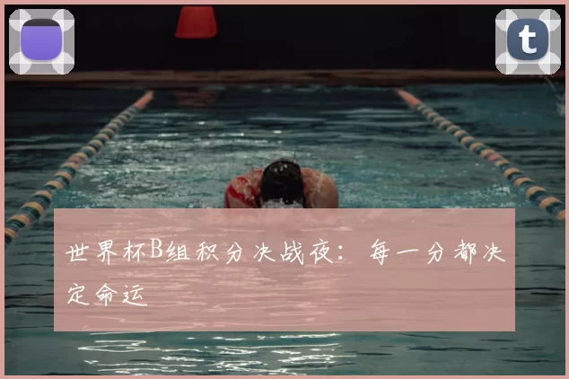 世界杯B组积分决战夜:每一分都决定命运