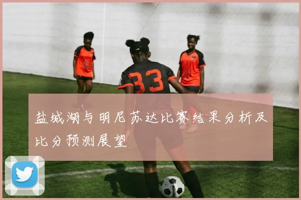 盐城湖与明尼苏达比赛结果分析及比分预测展望