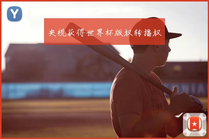 央视获得世界杯版权转播权