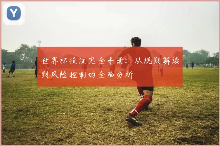 世界杯投注完全手册：从规则解读到风险控制的全面分析