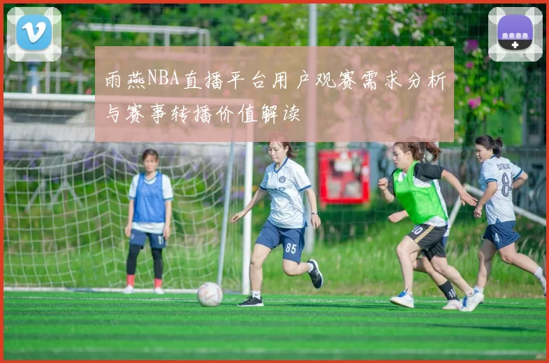 雨燕NBA直播平台用户观赛需求分析与赛事转播价值解读