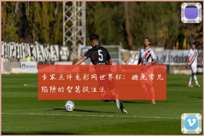 专家点评竞彩网世界杯：避免常见陷阱的智慧投注法