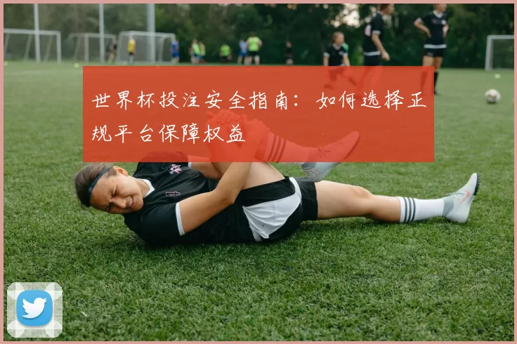 世界杯投注安全指南：如何选择正规平台保障权益