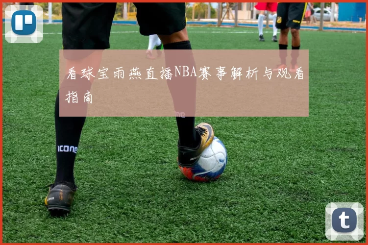 看球宝雨燕直播NBA赛事解析与观看指南