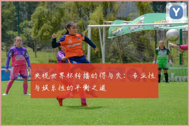 央视世界杯转播的得与失:专业性与娱乐性的平衡之道