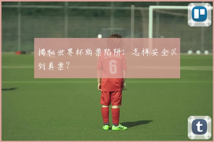 揭秘世界杯购票陷阱：怎样安全买到真票？