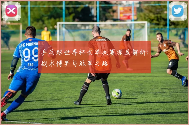 乒乓球世界杯女单决赛深度解析:战术博弈与冠军之路