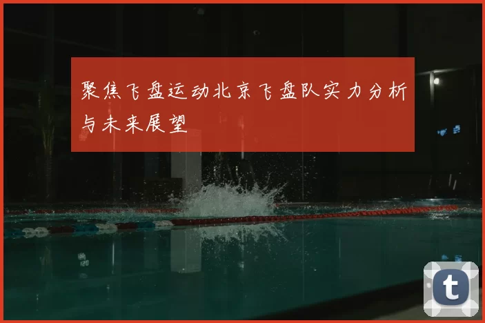 聚焦飞盘运动北京飞盘队实力分析与未来展望