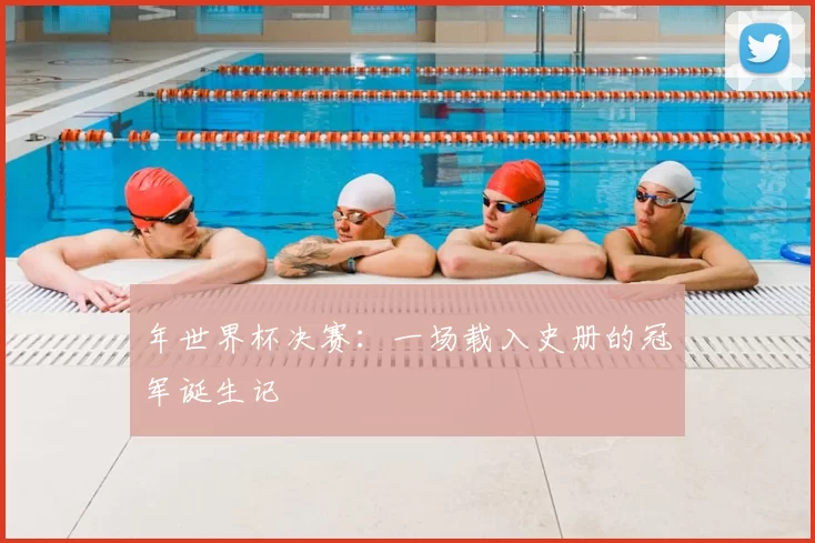 年世界杯决赛：一场载入史册的冠军诞生记