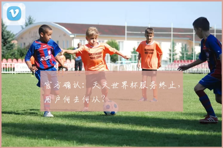 官方确认：天天世界杯服务终止，用户何去何从？