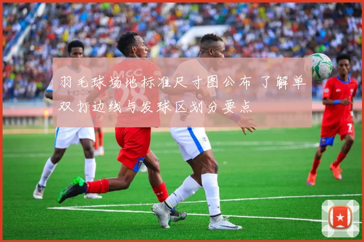 羽毛球场地标准尺寸图公布 了解单双打边线与发球区划分要点