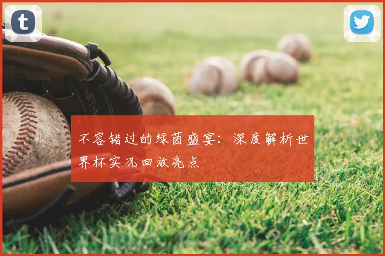 不容错过的绿茵盛宴：深度解析世界杯实况回放亮点