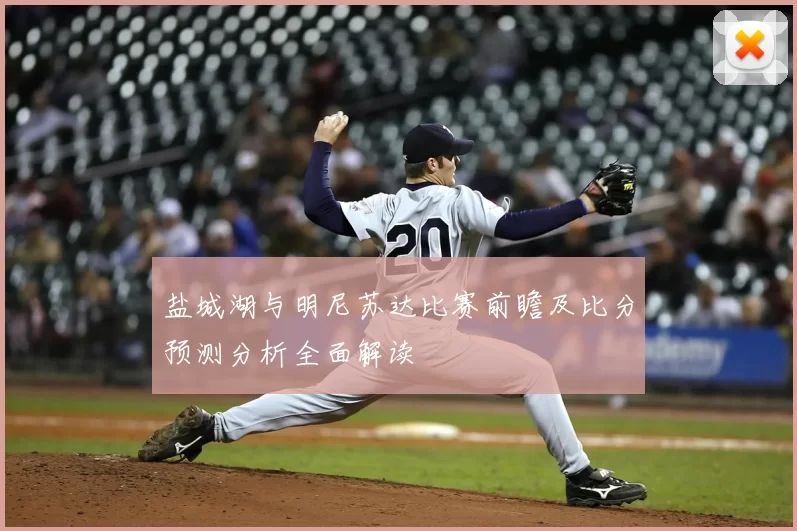 盐城湖与明尼苏达比赛前瞻及比分预测分析全面解读