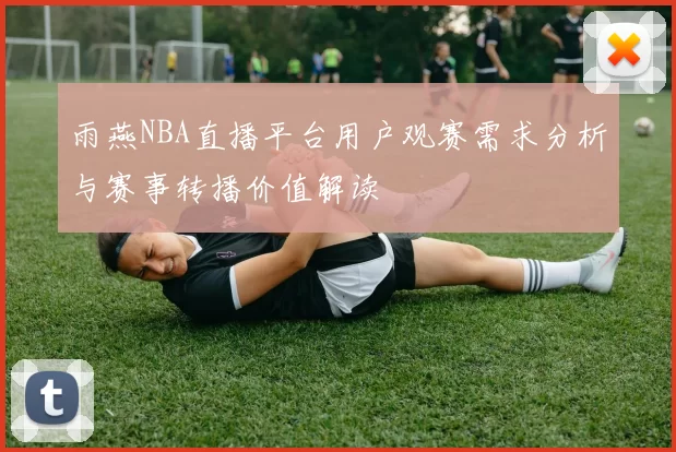雨燕NBA直播平台用户观赛需求分析与赛事转播价值解读