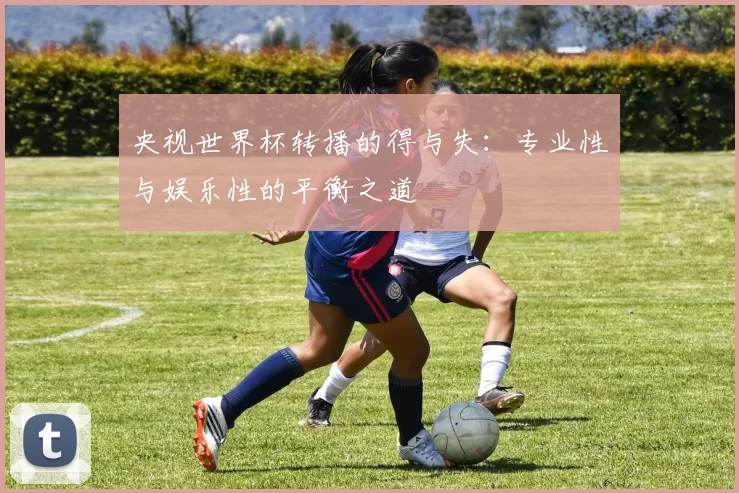 央视世界杯转播的得与失:专业性与娱乐性的平衡之道