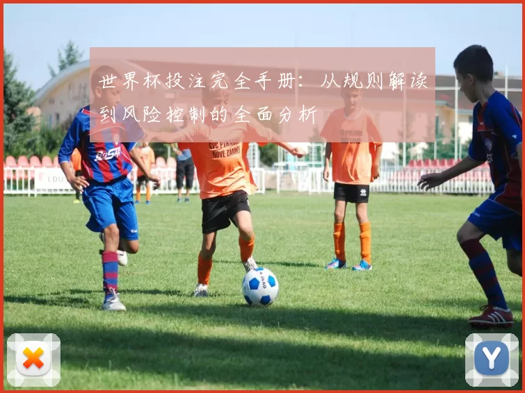 世界杯投注完全手册：从规则解读到风险控制的全面分析