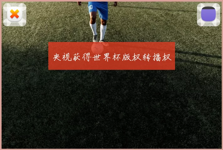 央视获得世界杯版权转播权