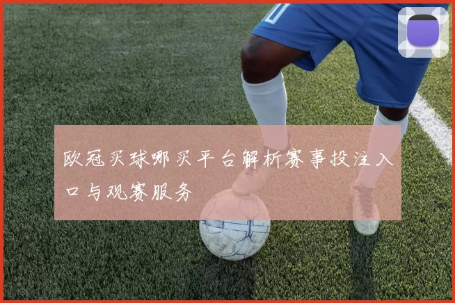 欧冠买球哪买平台解析赛事投注入口与观赛服务